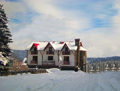 hotel_amiranis_parki_in-bakuriani.jpg hotel_amiranis_parki_in-bakuriani.jpg