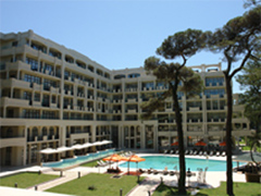 georgian_palace.jpg georgian_palace.jpg